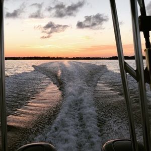 Meet your Posher, Joey